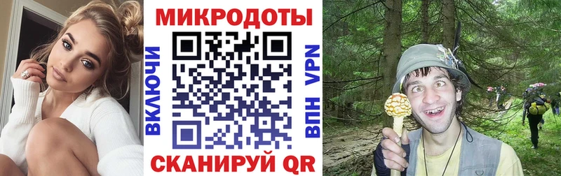 что такое наркотик  площадка состав  Галлюциногенные грибы Cubensis  Избербаш 